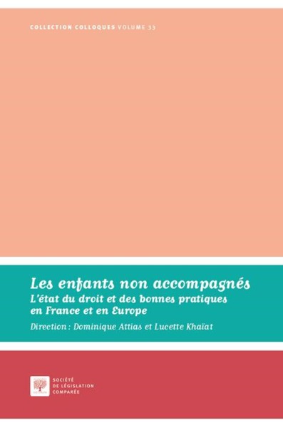 Image de LES ENFANTS NON ACCOMPAGNES