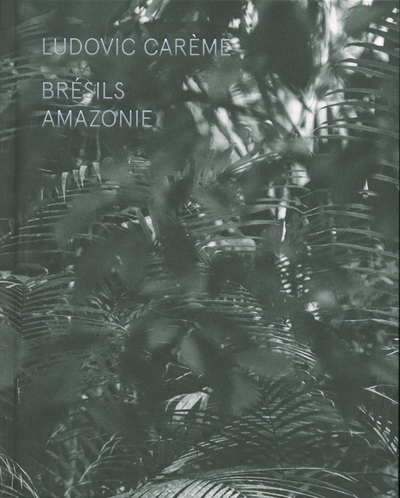 Picture of Brésils - Amazonie