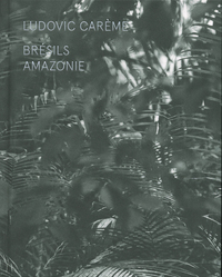 Picture of Brésils - Amazonie