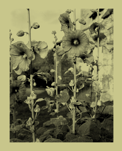 Image de Une infime distance