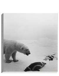 Image de Dioramas