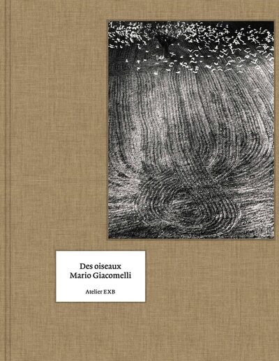 Picture of Des oiseaux - (Version Anglaise)