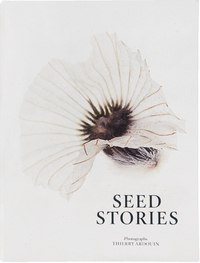 Image de SEED STORIES