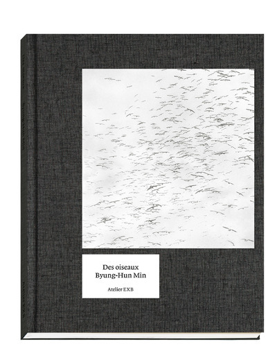 Image de Des Oiseaux Byung-Hun Min UK