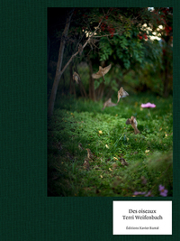 Picture of Des oiseaux - Terri Weifenbach