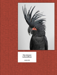 Image de Des oiseaux - Leila Jeffreys