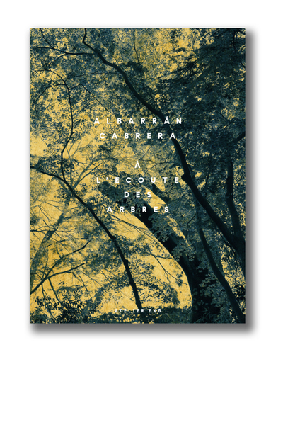 Picture of À l'écoute des arbres