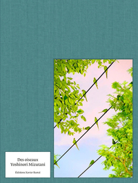 Picture of Des oiseaux - Yoshinori Mizutani