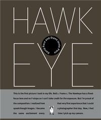 Image de David Pace Hawkeye /anglais