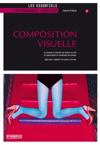 Picture of Composition visuelle