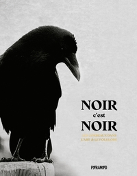 Image de Noir c'est noir - Les corbeaux dans l'art & le folkore