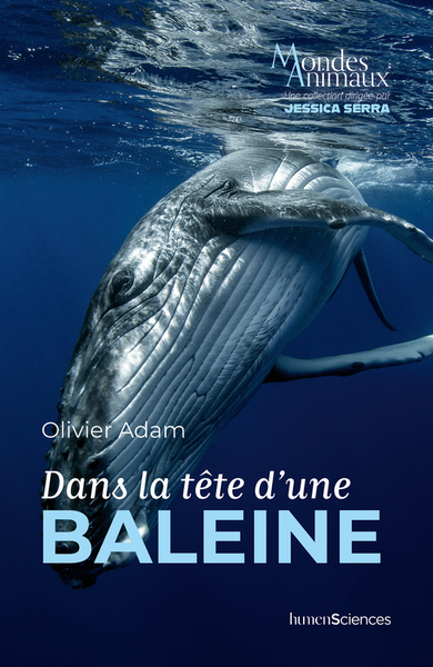 Image de Dans la tête d'une baleine