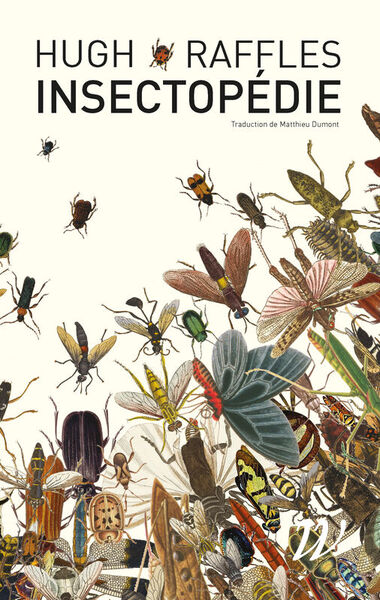 Image de Insectopédie