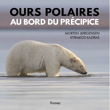 Picture of Ours polaire au bors du précipice