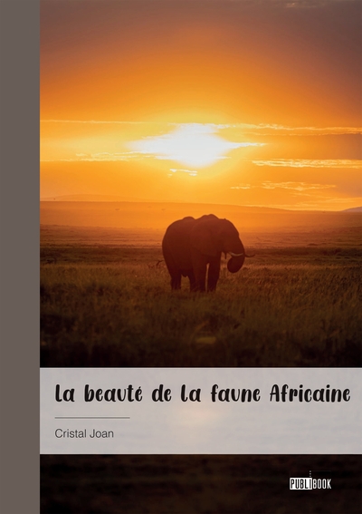 Picture of La beauté de la faune Africaine