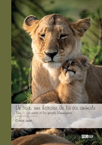 Image de Un soir, une histoire de la vie animale - Tome 1