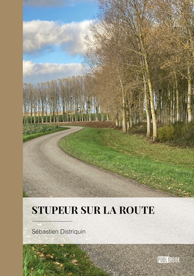 Image de Stupeur sur la route
