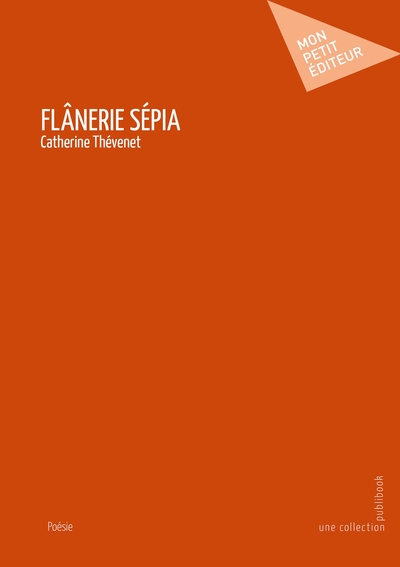 Image de Flânerie sépia