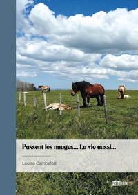 Picture of Passent les nuages... la vie aussi...