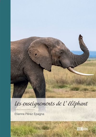 Picture of Les enseignements de L'éléphant