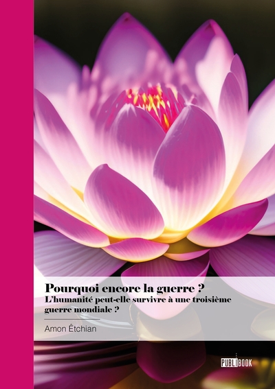 Picture of Pourquoi encore la guerre ? L'humanité peut-elle survivre à une troisième guerre mondiale ?