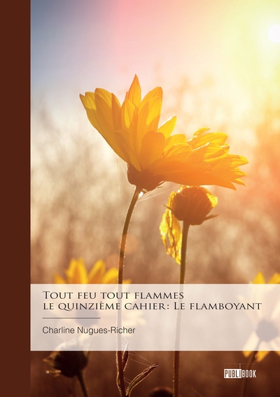 Image de Tout feu tout flammes - le quinzième cahier : Le flamboyant