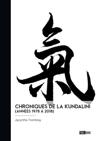 Image de Chroniques de la kundalini (Années 1978 à 2018)