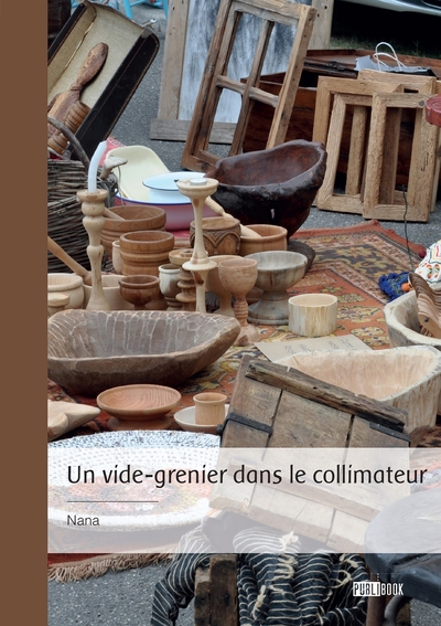 Image de Un vide-grenier dans le collimateur