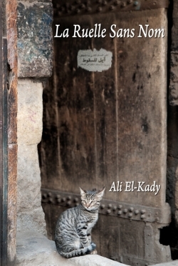 Picture of La Ruelle Sans Nom