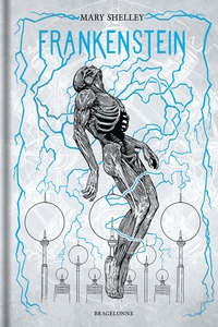 Picture of Frankenstein ou le Prométhée moderne