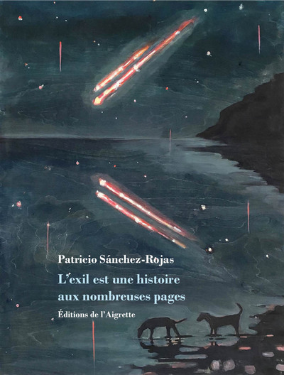 Picture of L'exil est une histoire aux nombreuses pages