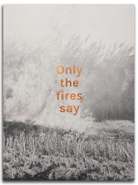 Image de Alan Eglinton Only the fires say /franCais/anglais