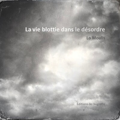 Picture of La vie blottie dans le désordre