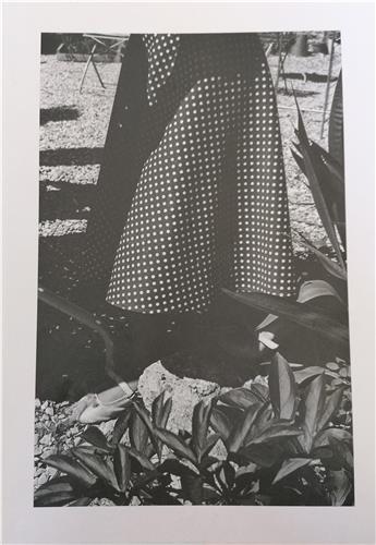 Image de Gilles Pourtier Si mes larmes coulaient dans tes yeux /franCais