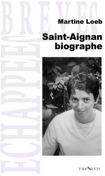 Picture of Saint-Aignan biographie