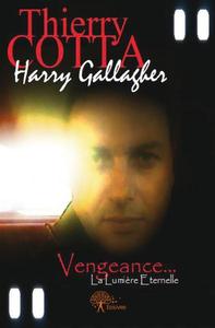 Image de Harry gallagher... vengeance, la lumière éternelle