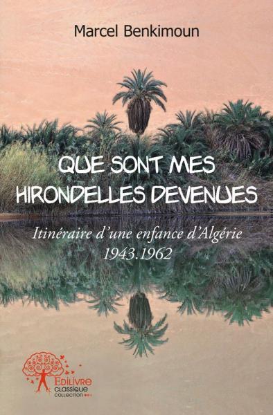 Image de Que sont mes hirondelles devenues
