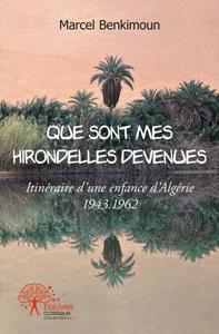 Image de Que sont mes hirondelles devenues