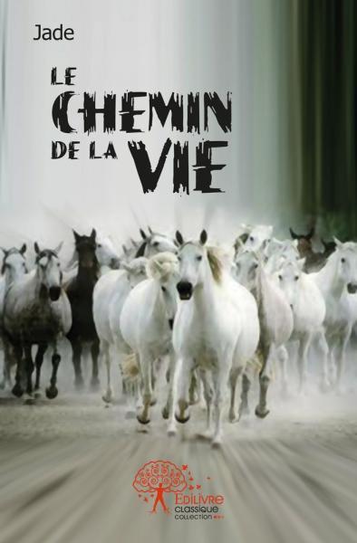 Image de Le chemin de la vie