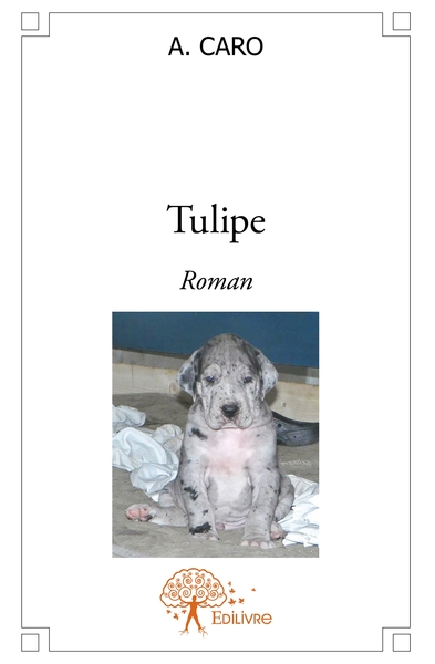 Picture of Tulipe