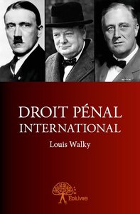 Picture of Droit pénal international