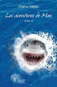 Image de Les aventures de max (tome 6)