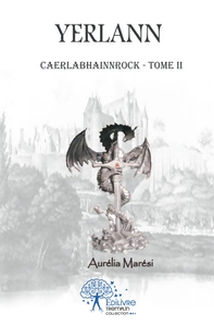 Picture of Yerlann - Tome 2