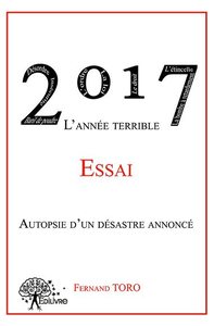 Image de 2017 l'année terrible