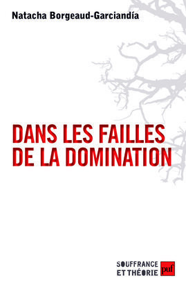 Image de Dans les failles de la domination