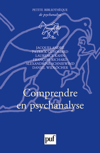 Image de Comprendre en psychanalyse