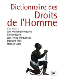 Image de Dictionnaire des droits de l'homme