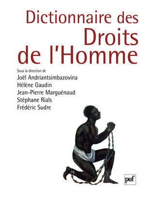 Picture of Dictionnaire des droits de l'homme