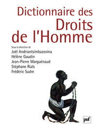 Picture of Dictionnaire des droits de l'homme