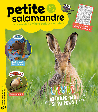 Image de Revue petite salamandre n°64